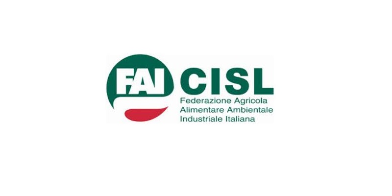 Rosarno, prima porta sul mediterraneo, tra immigrazione e schiavitù moderna, come l’isola di Gorè