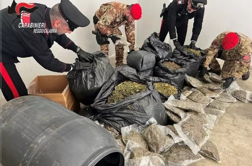 https://www.radiovenere.net:443/UserFiles/Articoli/sostanze-stupefacenti/marijuana