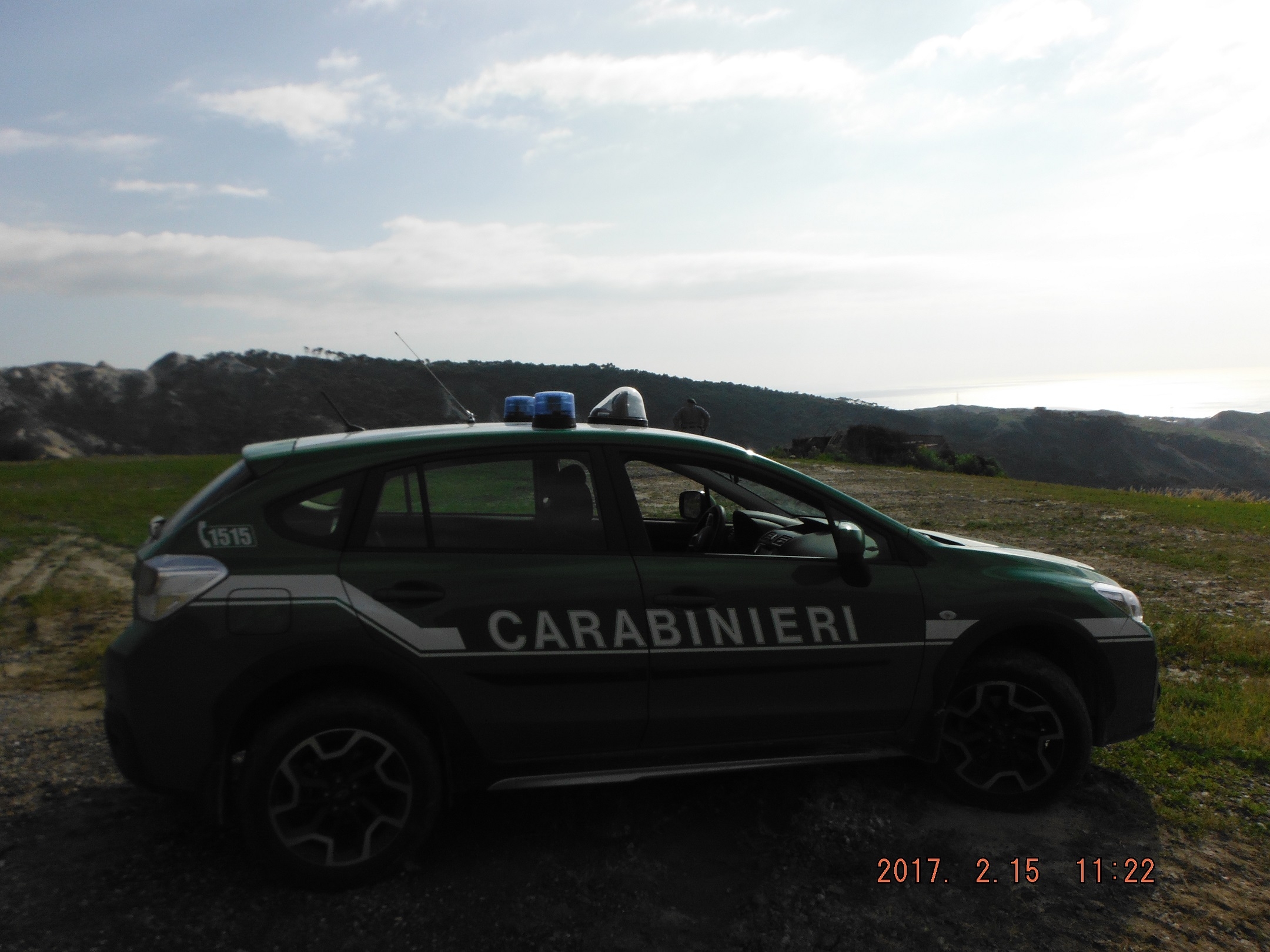 Taglio abusivo di 689 piante di alto fusto. L'intervento dei Carabinieri Forestali