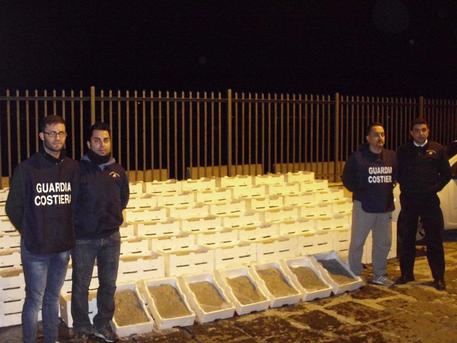 Sequestrate oltre 2 ton. di bianchetto