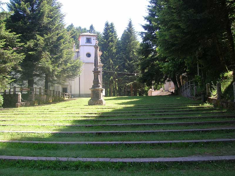 Serra San Bruno - Sospesa l’asta per la vendita dei 2600 alberi