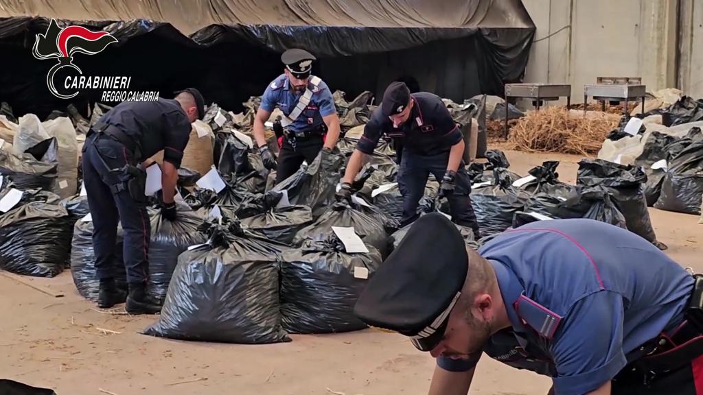 SAN FERDINANDO (RC) - Maxi sequestro di cannabis nella zona industriale del porto