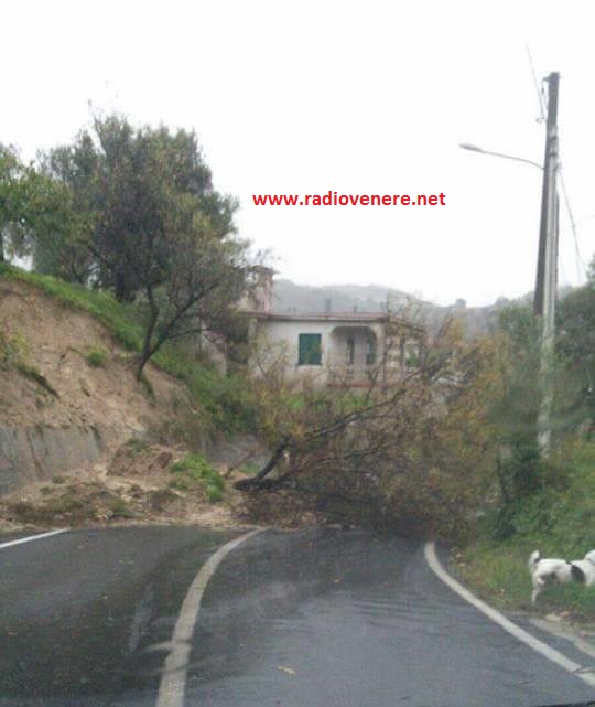 Calabria (RC):  accertare le responsabilità è un dovere civico da cui non si può prescindere.