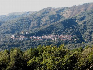 Ardore,anziana si perde in un bosco in Aspromonte,ritrovata morta