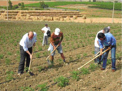 Bianco,G.di F. scopre 113 falsi braccianti agricoli