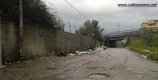 Bovalino: Spariti cassonetti in periferia e mucche al pascolo sul lungomare