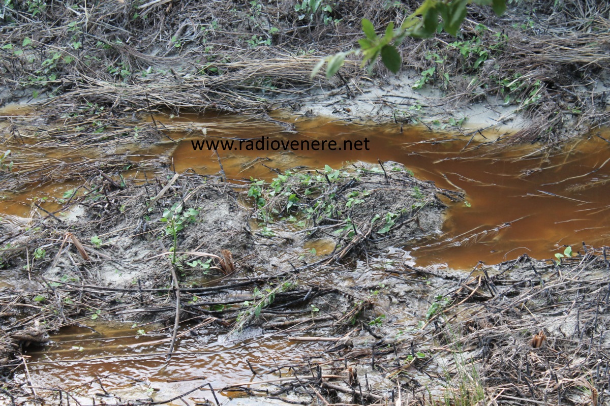 Casignana,impianto consortile, ancora sversamenti di fogna nell'area del Rambotta