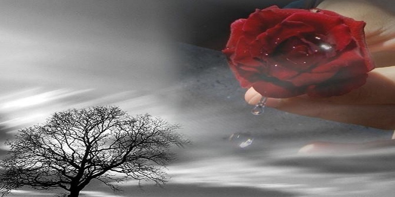 https://www.radiovenere.net:443/UserFiles/Articoli/varie/lutto2