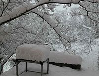 In Sila continua a nevicare Ma a Pasquetta tornerà il sole